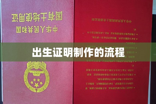 七股出生证明制作的流程