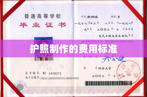 七股护照制作的费用标准