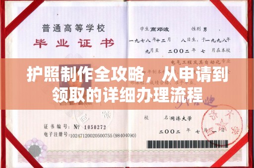 七股护照制作全攻略，从申请到领取的详细办理流程